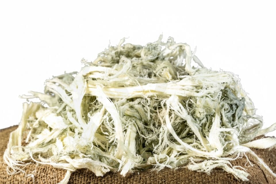 Kars Yeşil Çeçil Peyniri (Göğermiş Küflü Çeçil)