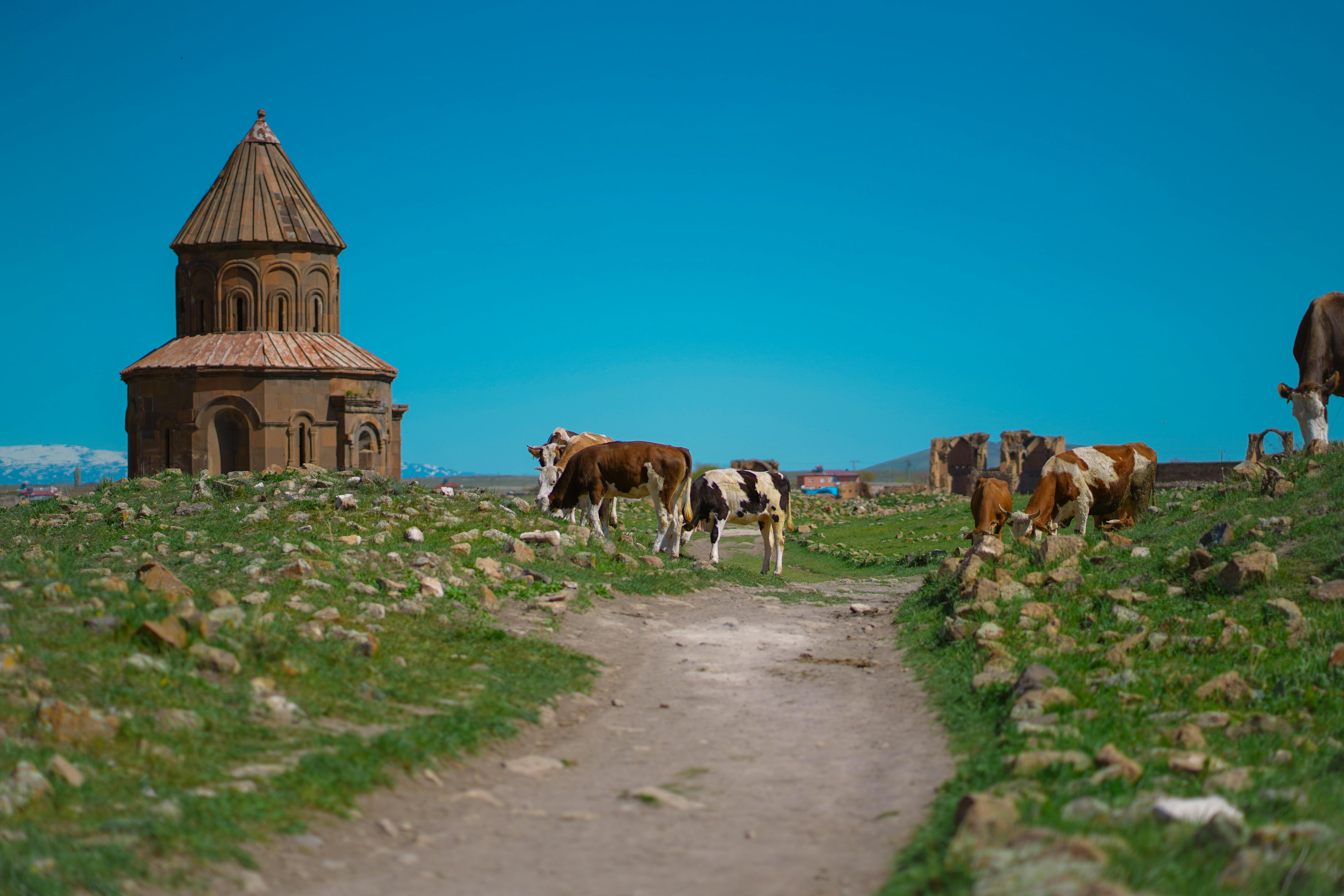 Yaylalardan Gelen Doğal Lezzet